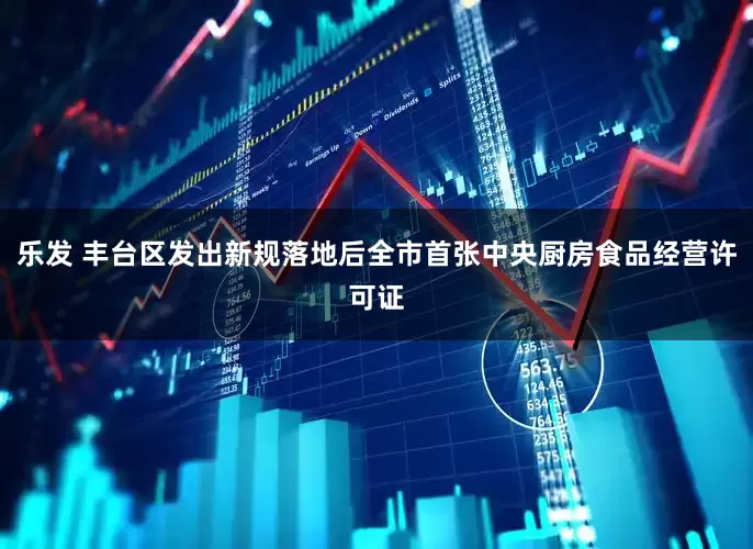 乐发 丰台区发出新规落地后全市首张中央厨房食品经营许可证